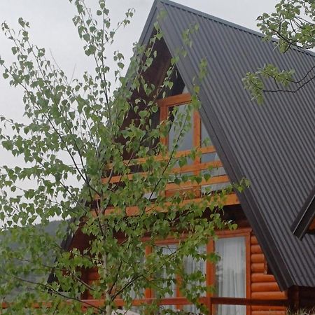 Villa Wood Borje Zabljak  Ngoại thất bức ảnh