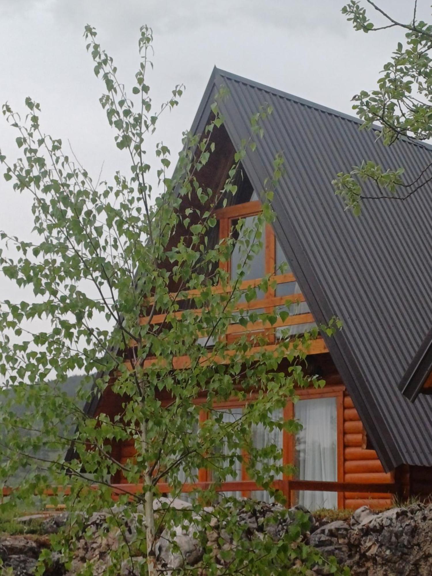 Villa Wood Borje Zabljak  Ngoại thất bức ảnh